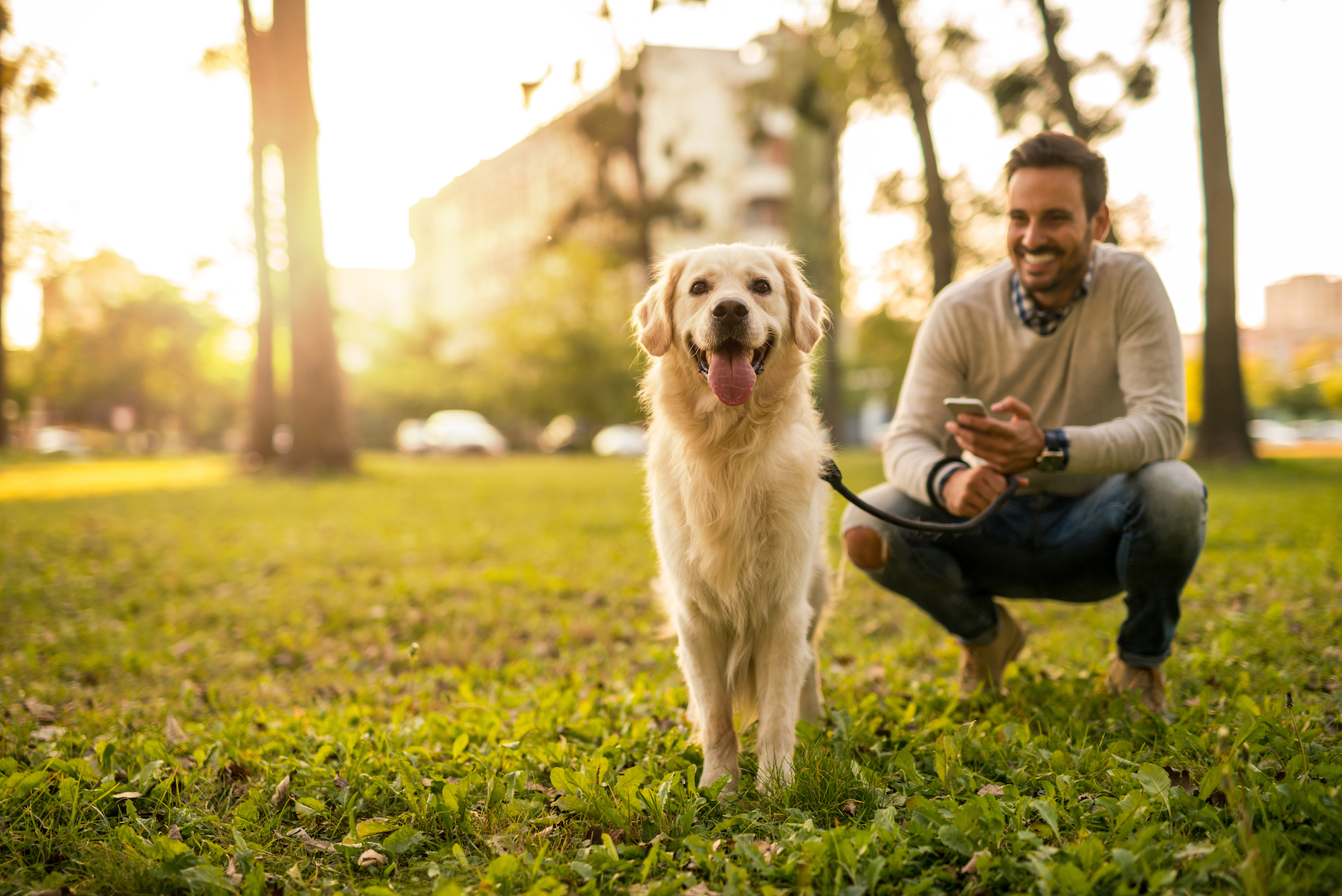 Dogs are more likely to befriend a stranger when they are relaxed