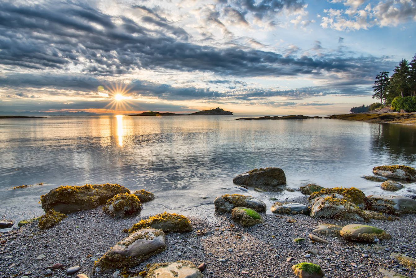13,000-year old footprints discovered of Pacific coast of Canada