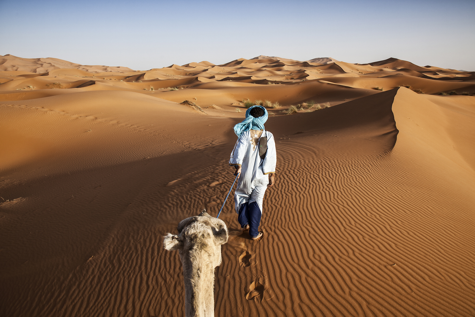 Impacted by climate change, the Sahara Desert is getting bigger