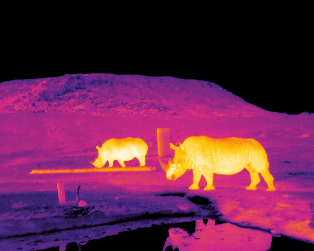 Mixing astronomy and ecology can help endangered animals