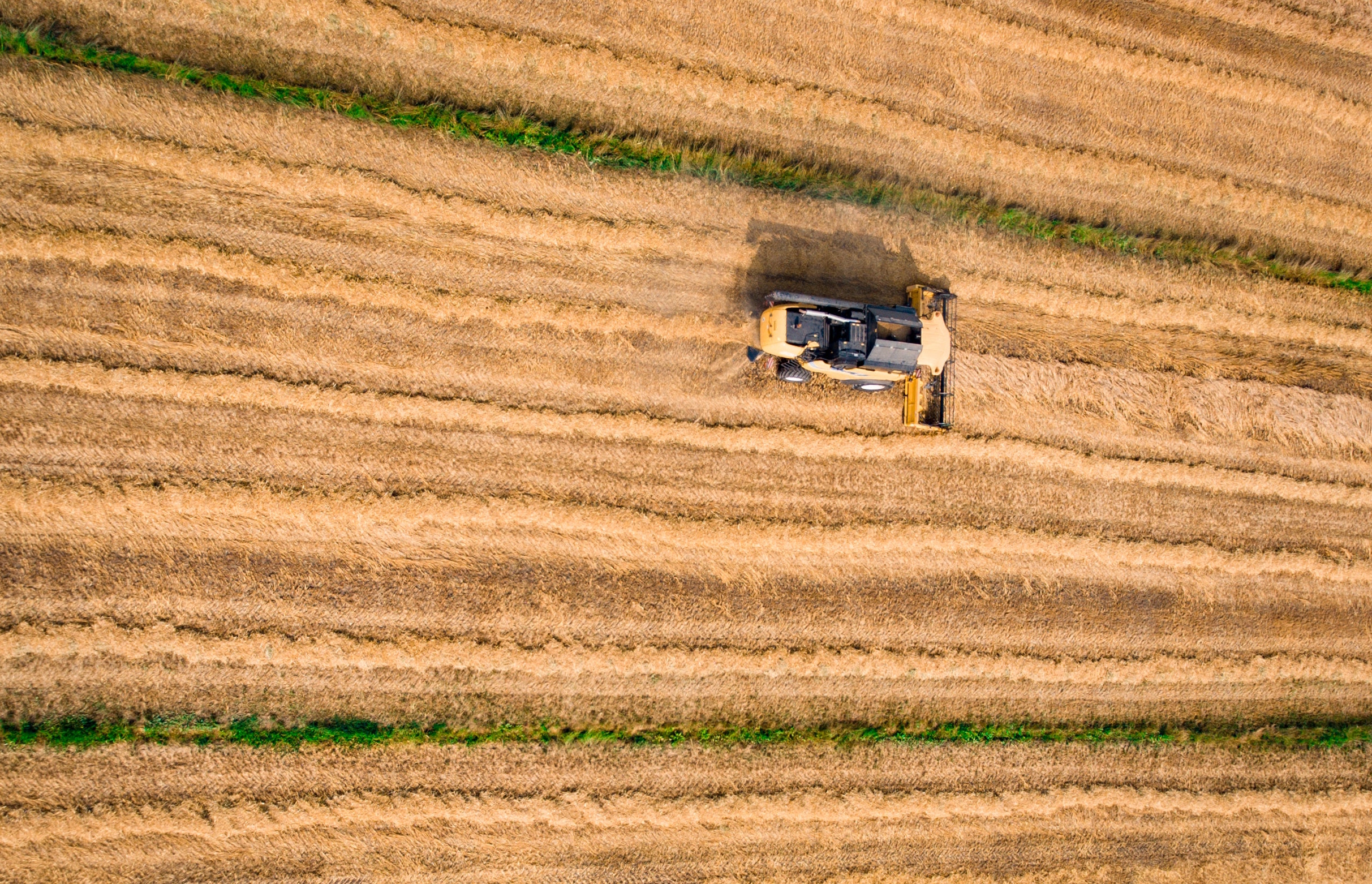 Organic fertilizers contributing to microplastic pollution