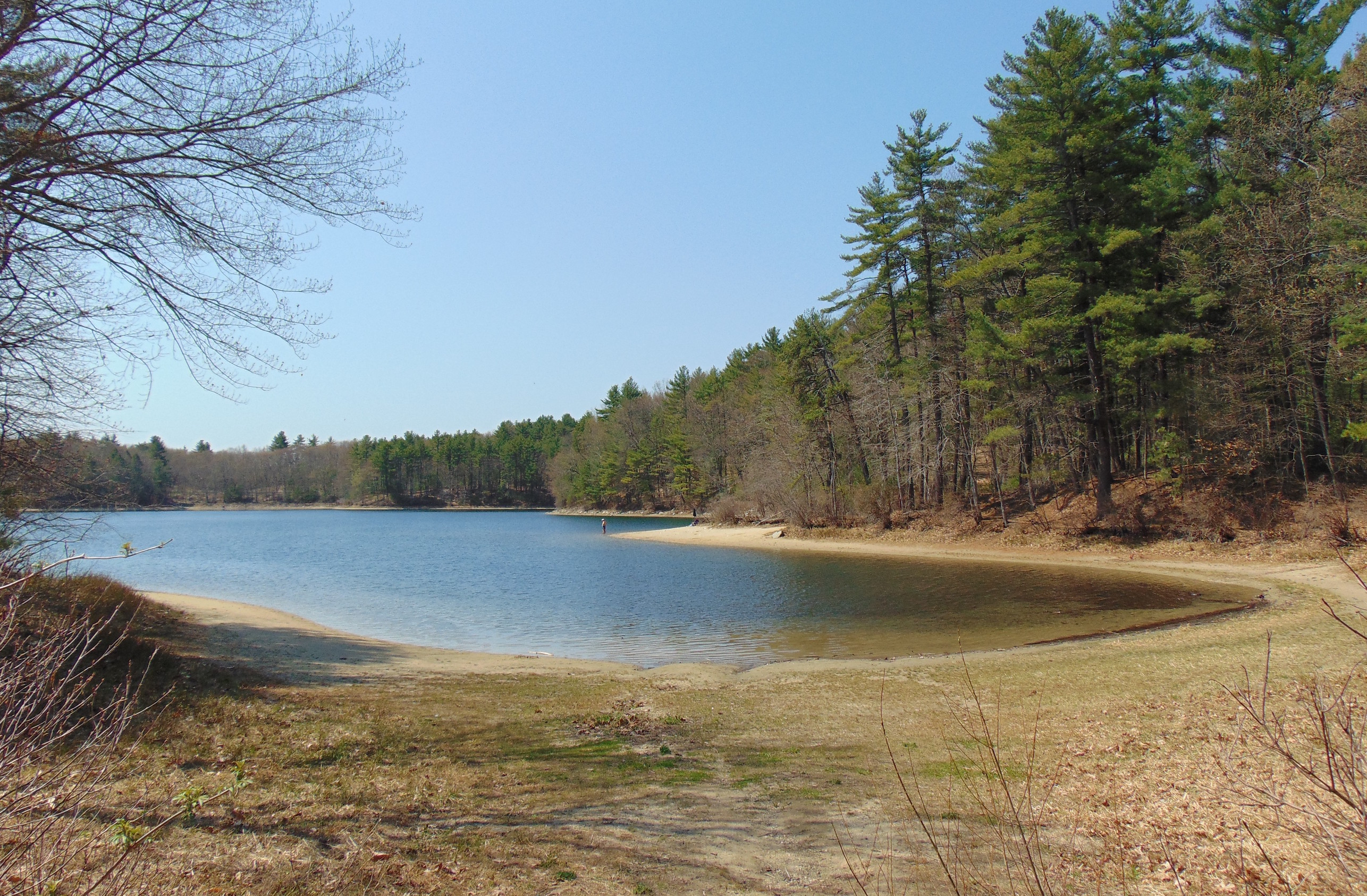 Human activity, climate change have altered Walden Pond
