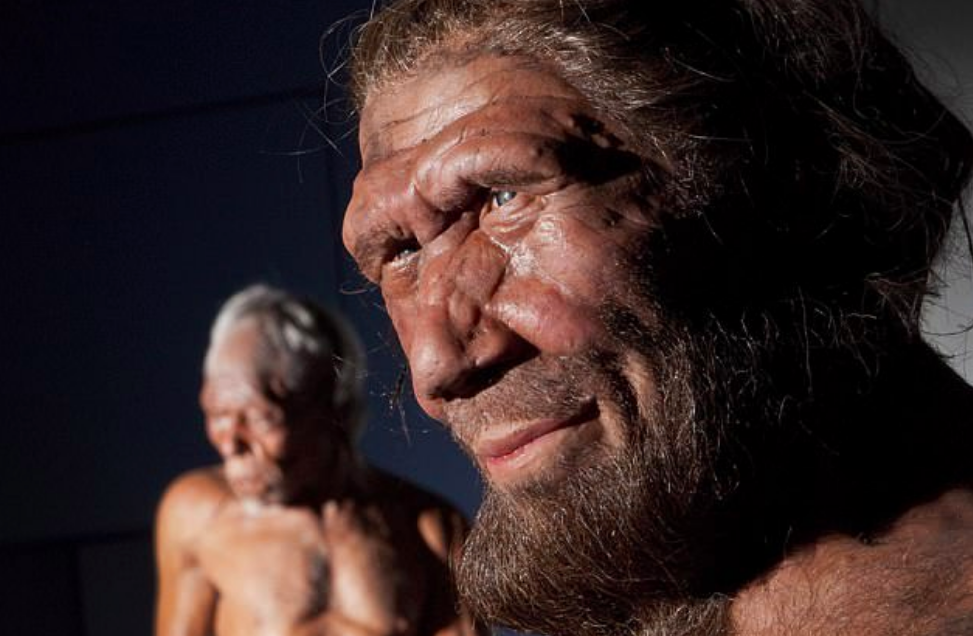 Neanderthal skull shape helped them adapt to cold, inhale oxygen