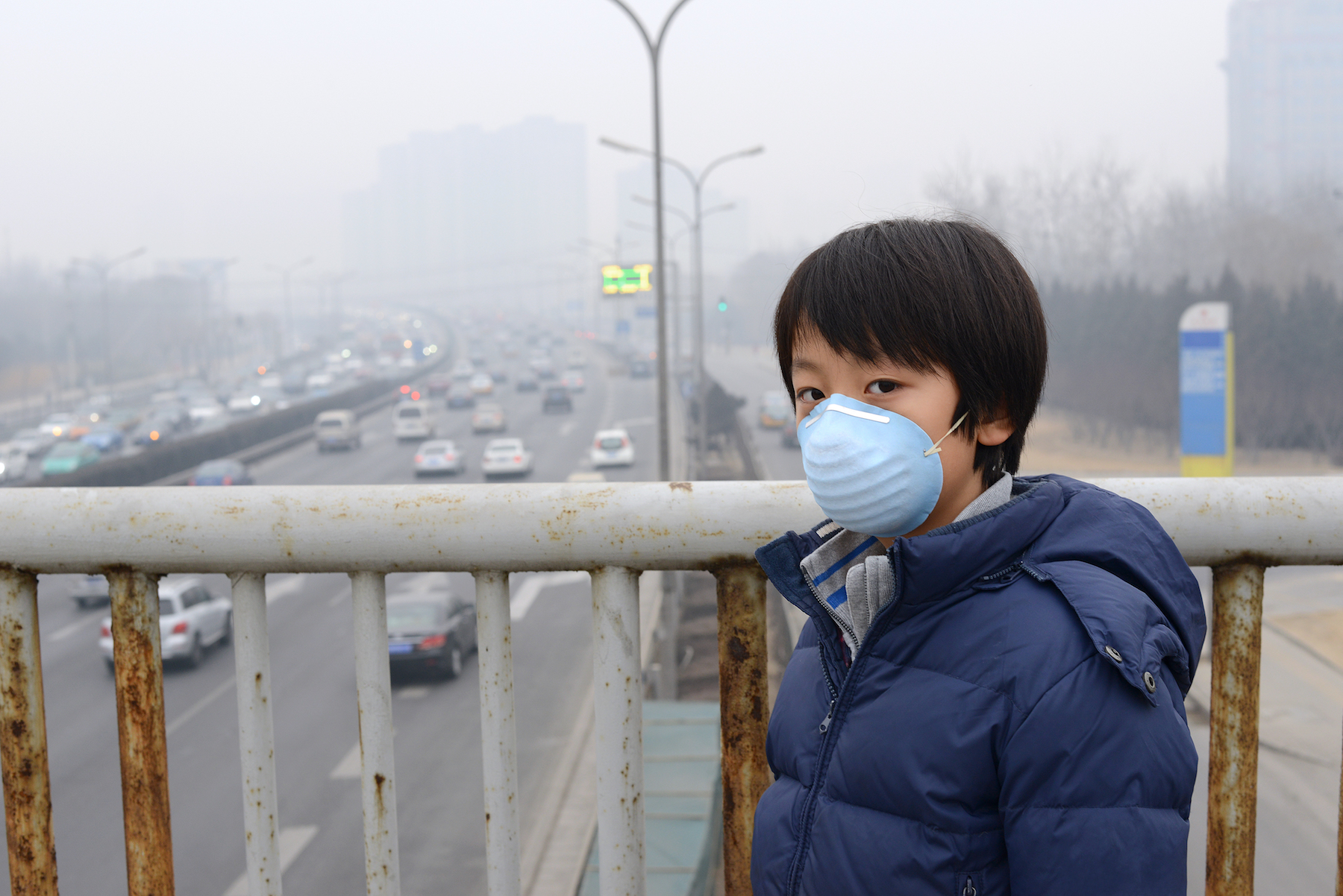 Exposure to traffic air pollution increases risk of asthma