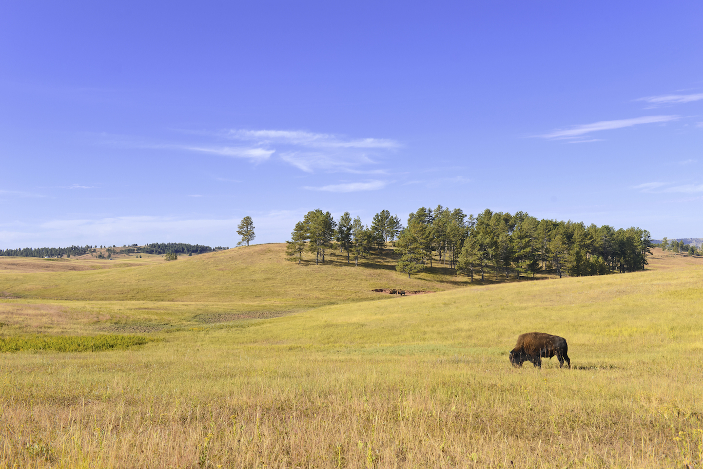 Great Plains land use changes have improved the local climate