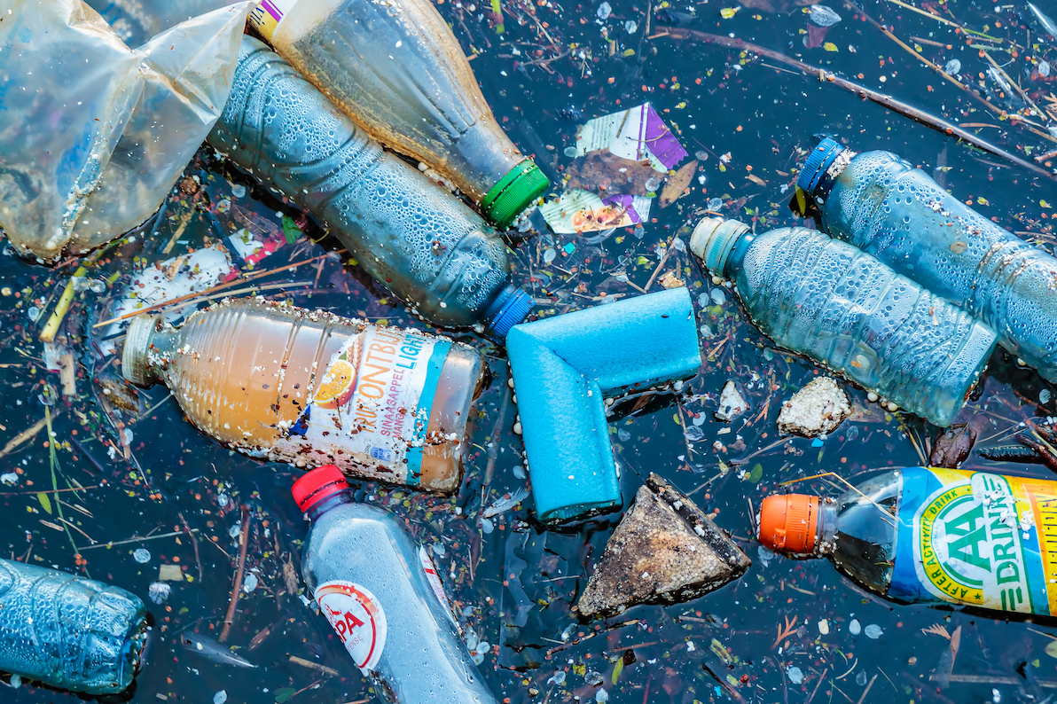 Newly discovered plastic-eating enzyme can help battle pollution