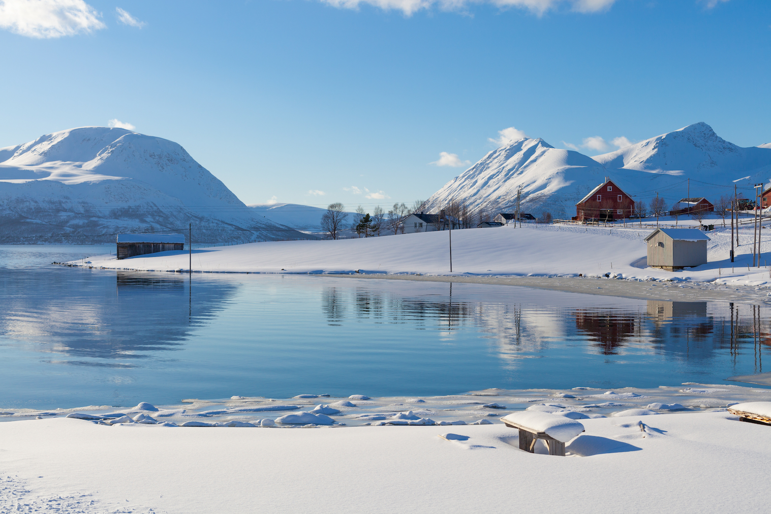 Warming Arctic temperatures are affecting the entire ecosystem