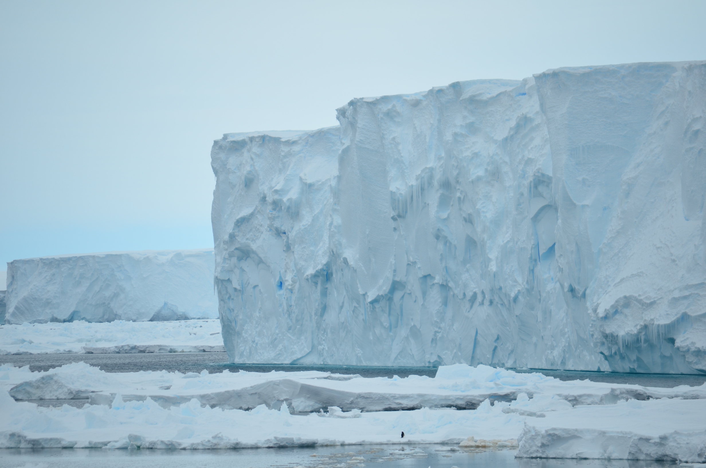 Antarctic glacial meltwater driving ice melt, sea level rise