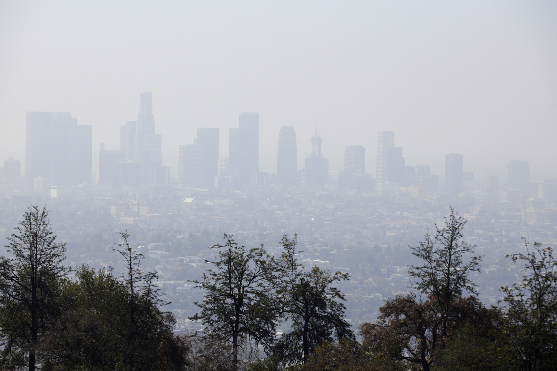 Almost half of Americans breathe unsafe levels of air pollution
