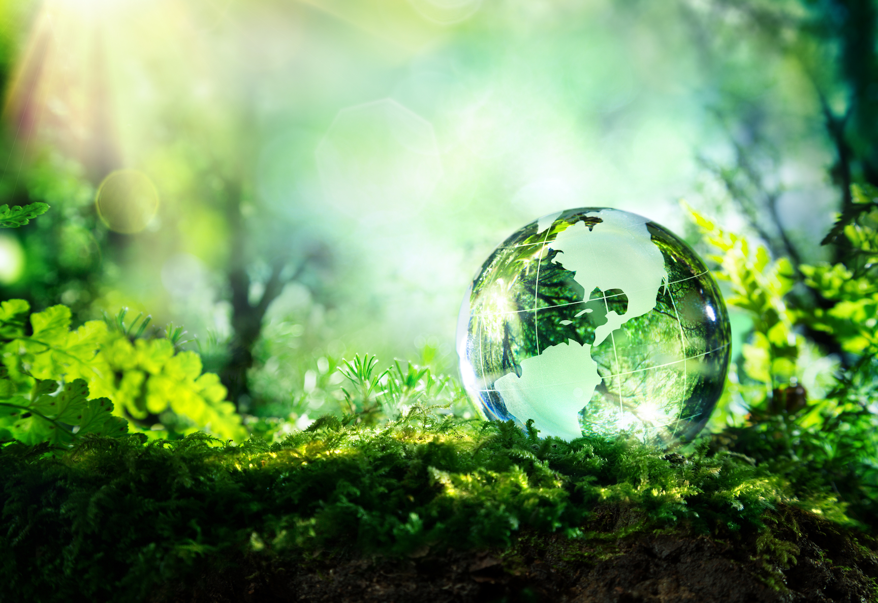 Four big breakthroughs presented to improve the environment