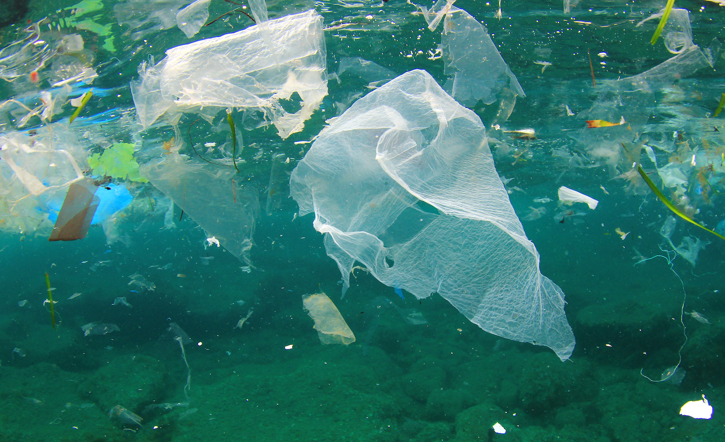 Ocean plastic pollution carries bacteria harmful to humans