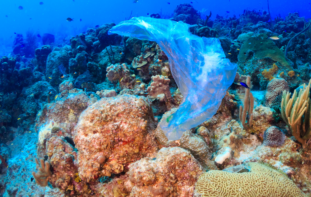 Major companies collaborate to reduce plastic pollution in the UK