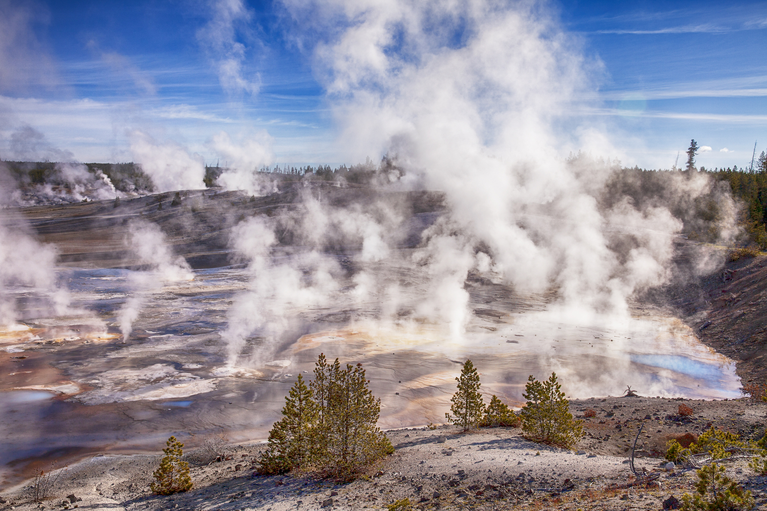 Ancient microbes reveal how humans adjust to changing climates