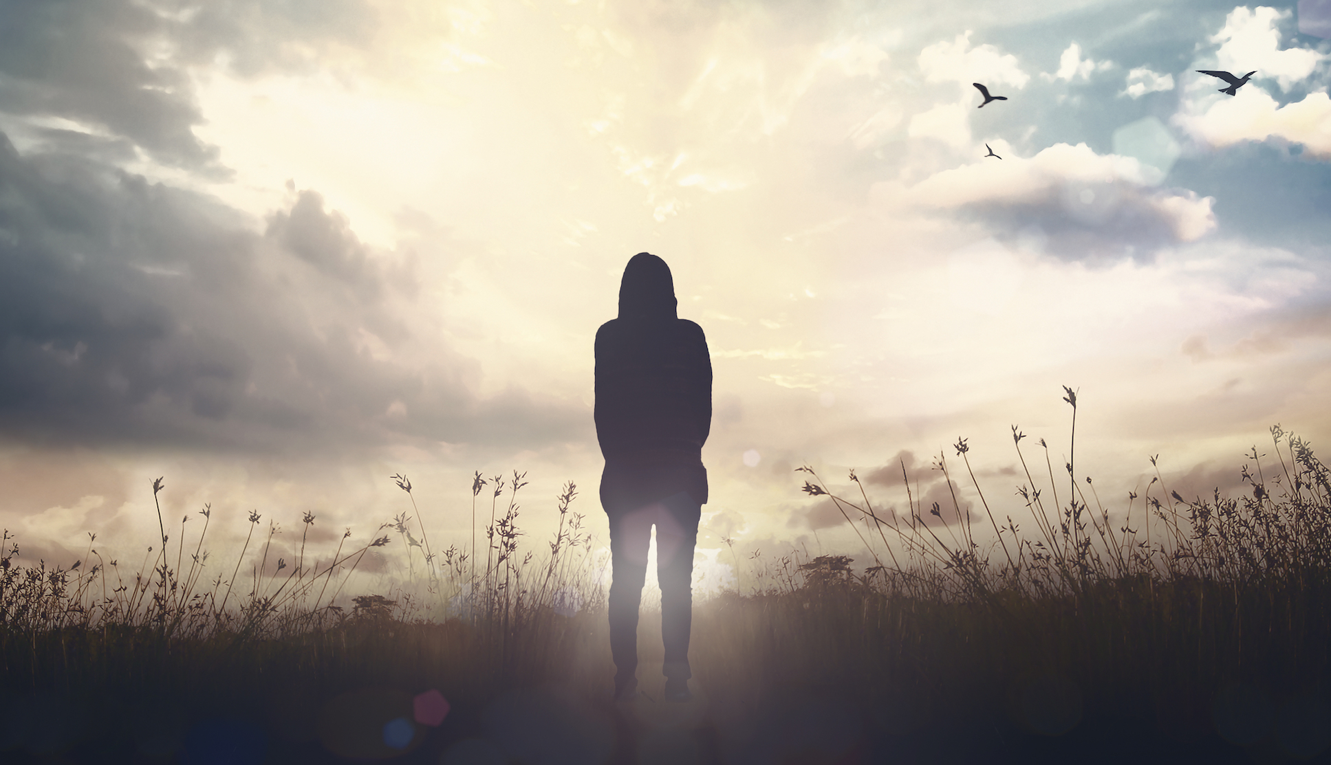 Social isolation causes chemical changes in the brain