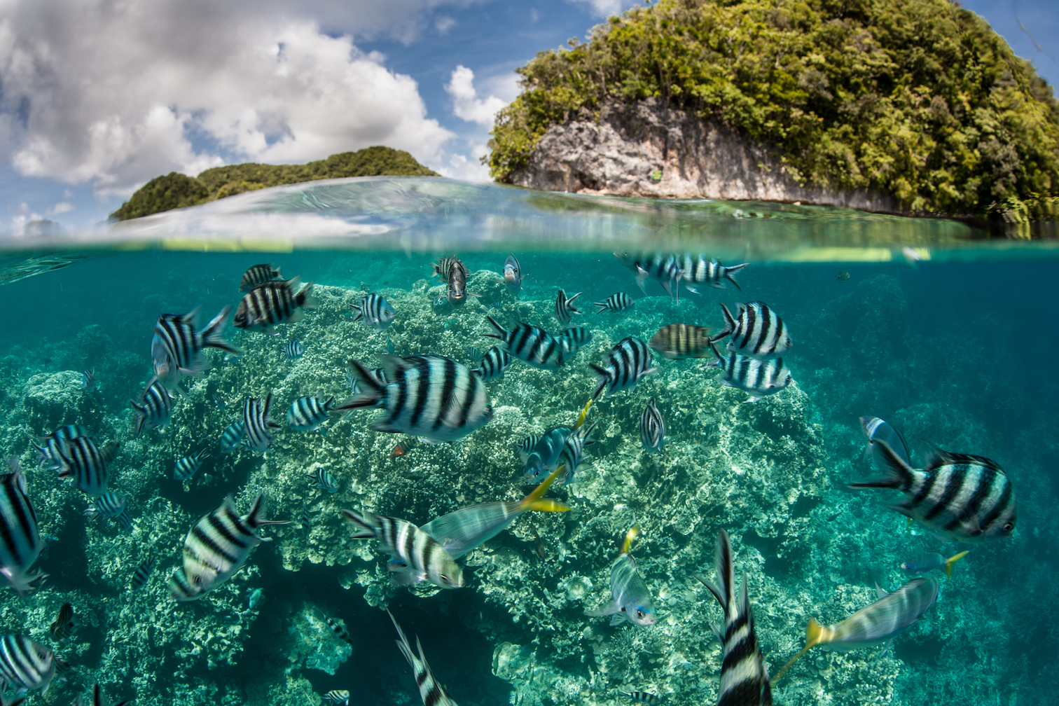 Warming climate threatens vast swathes of biodiversity