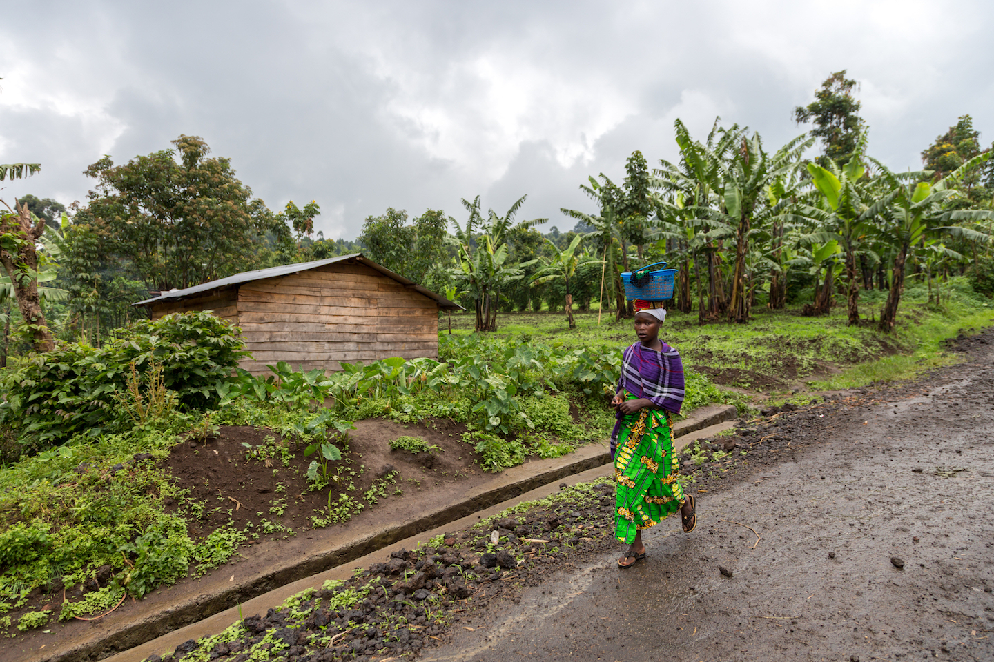 Developing countries will suffer the most from global warming