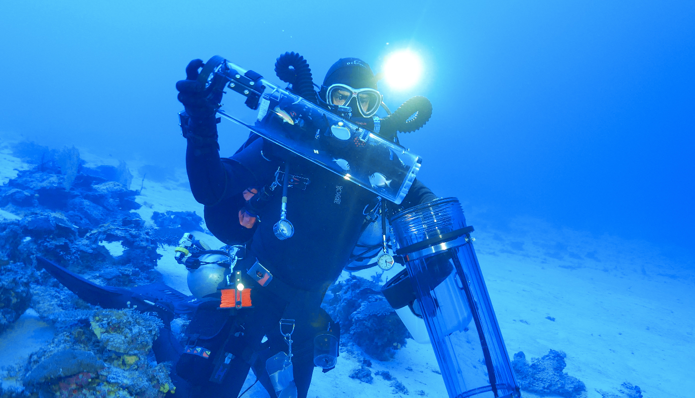 New device offers rare glimpse into deep ocean fish