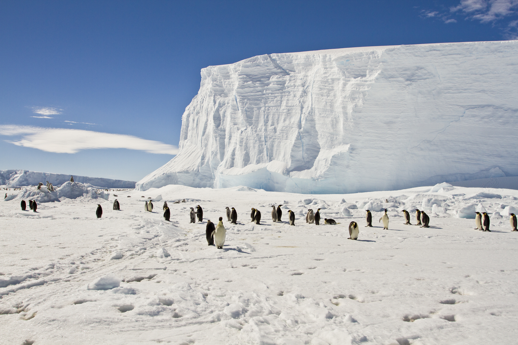 East Antarctica found to be surprisingly seismically active