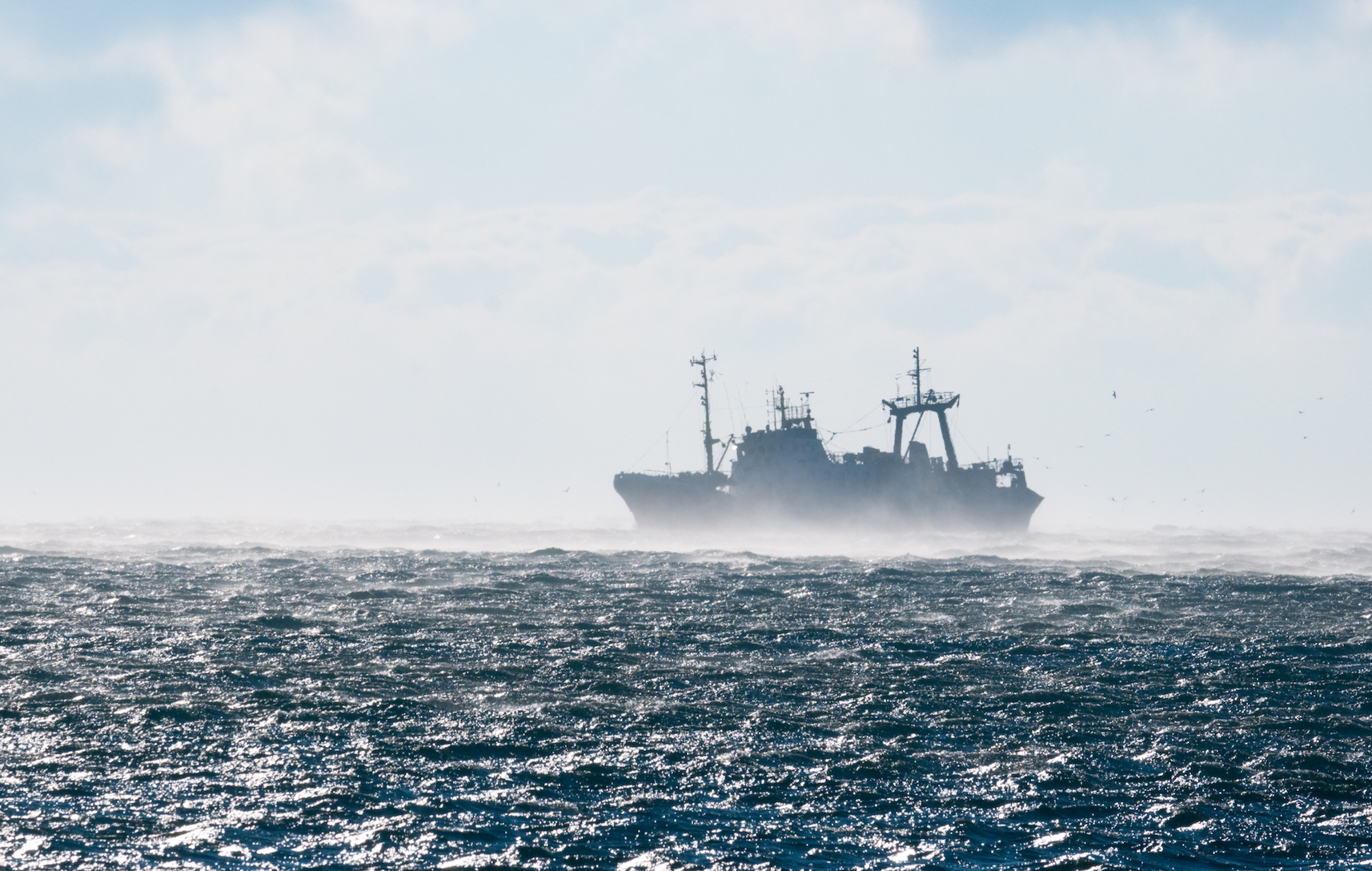 High seas fishing is unprofitable without government subsidies