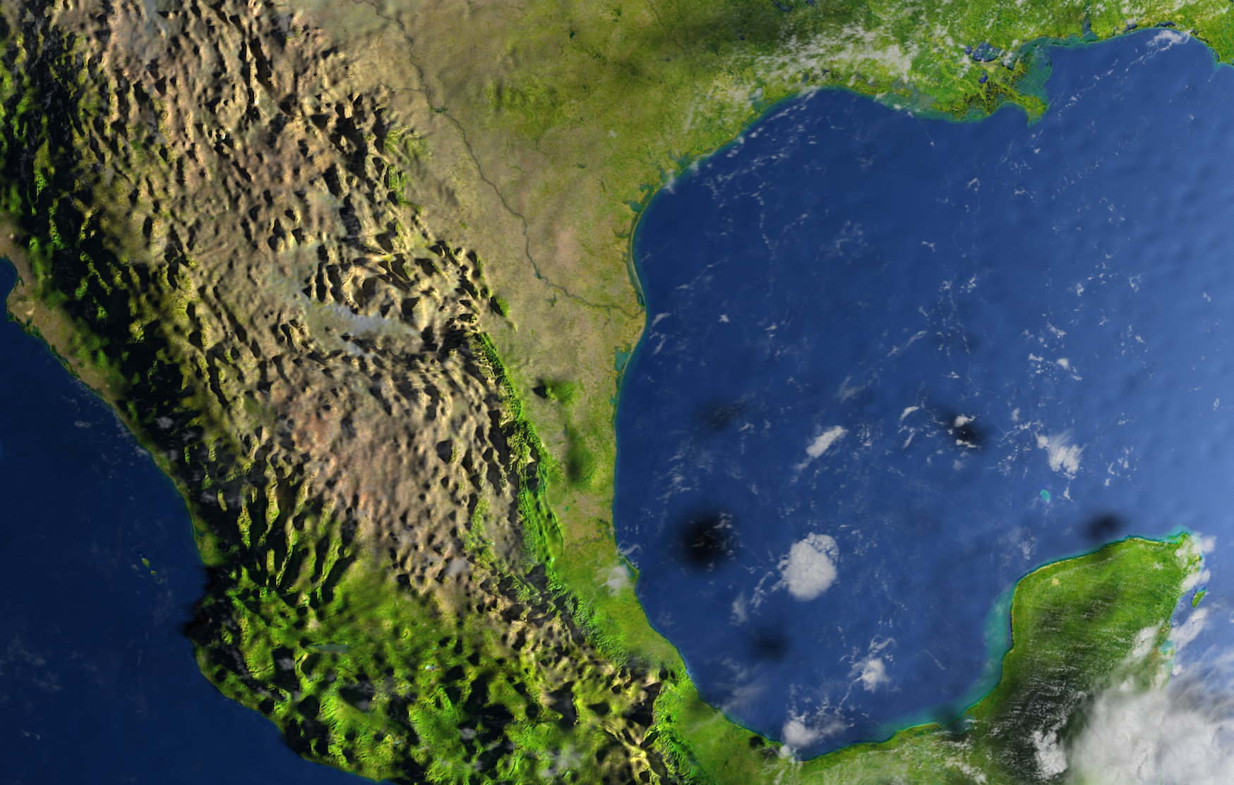 Gulf of Mexico dead zone growing into the size of Connecticut
