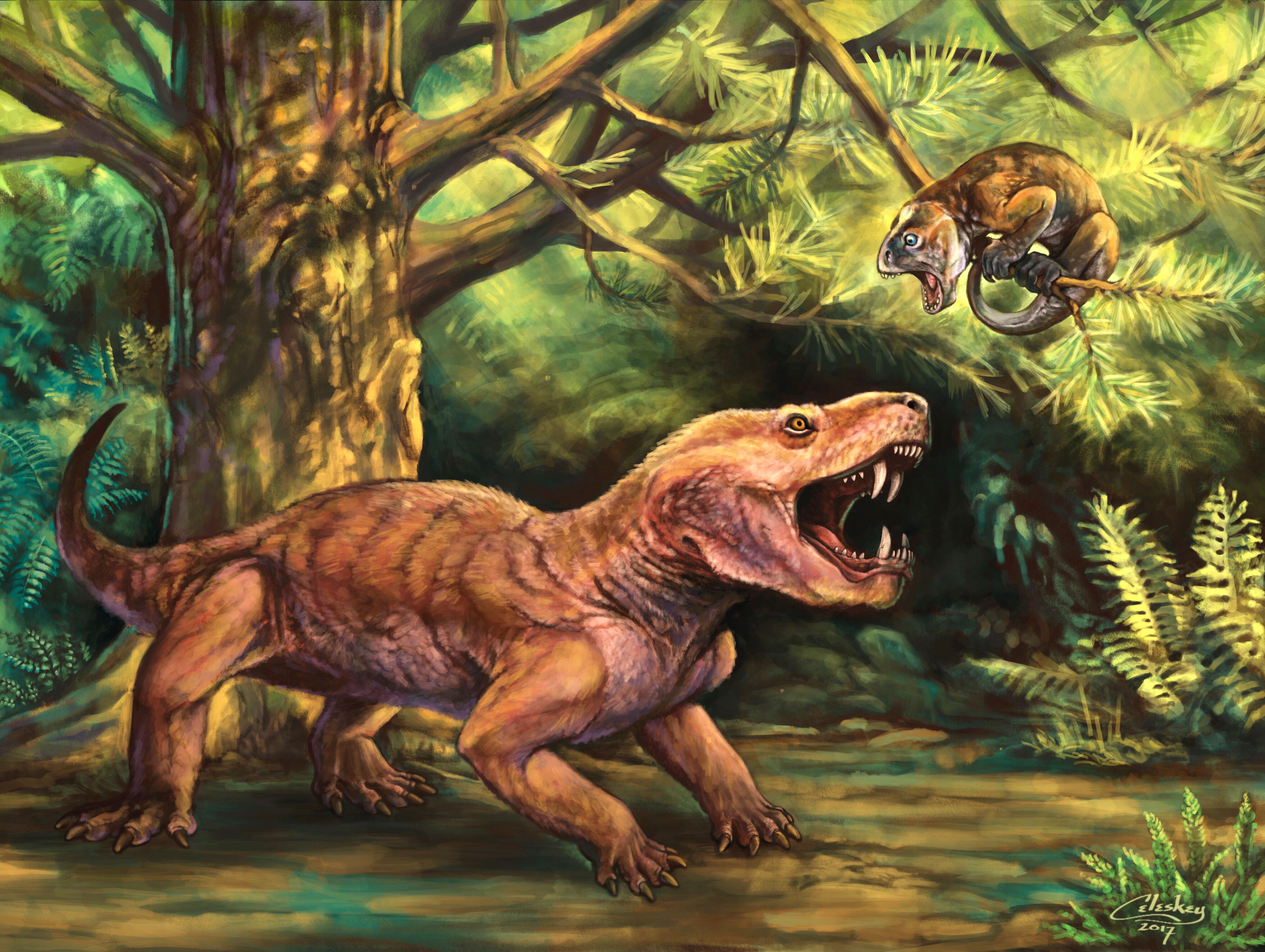 Two new species of ancient saber-toothed predators discovered