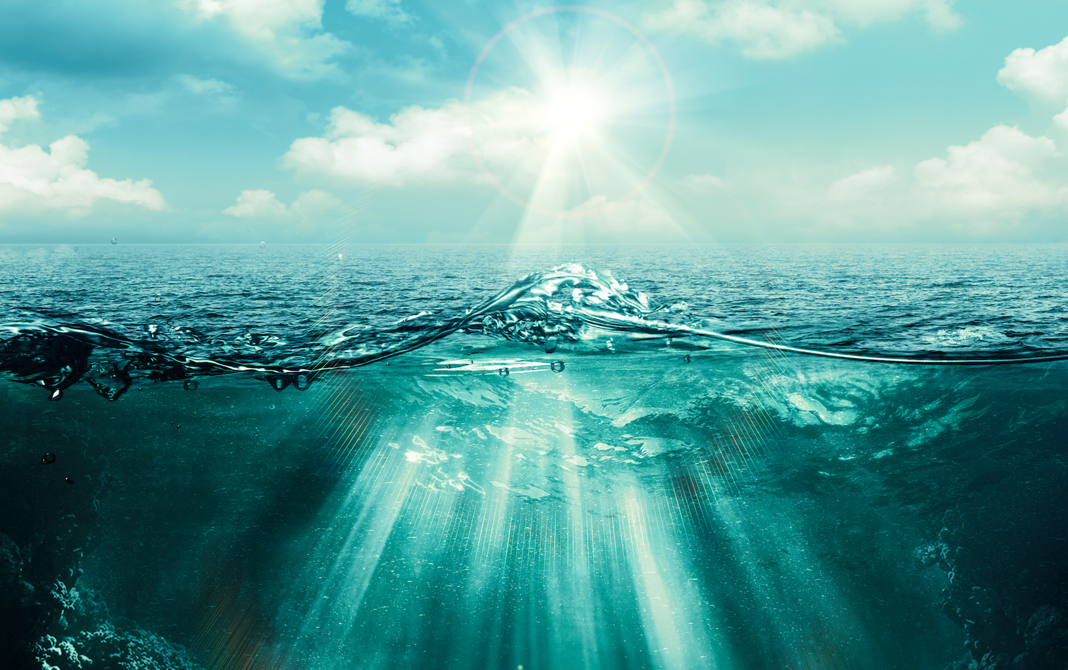 Scientists underestimated how quickly oceans are losing oxygen