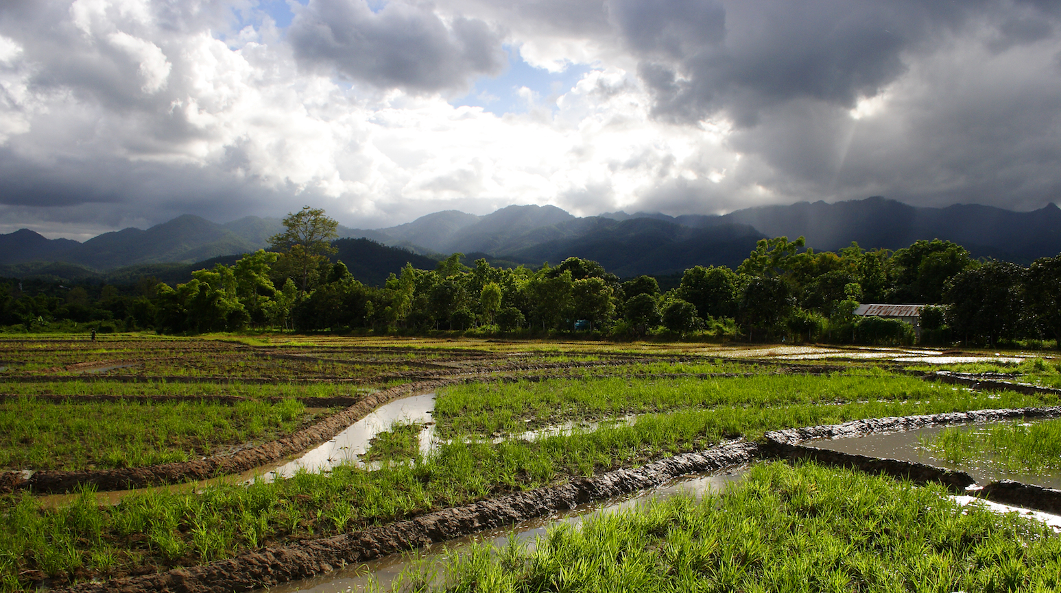 Summer monsoons in South Asia both pollute and purify the air