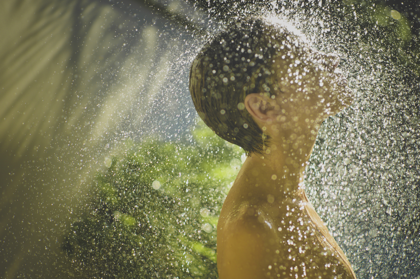 The internal wilderness: Your body as a habitat for organisms