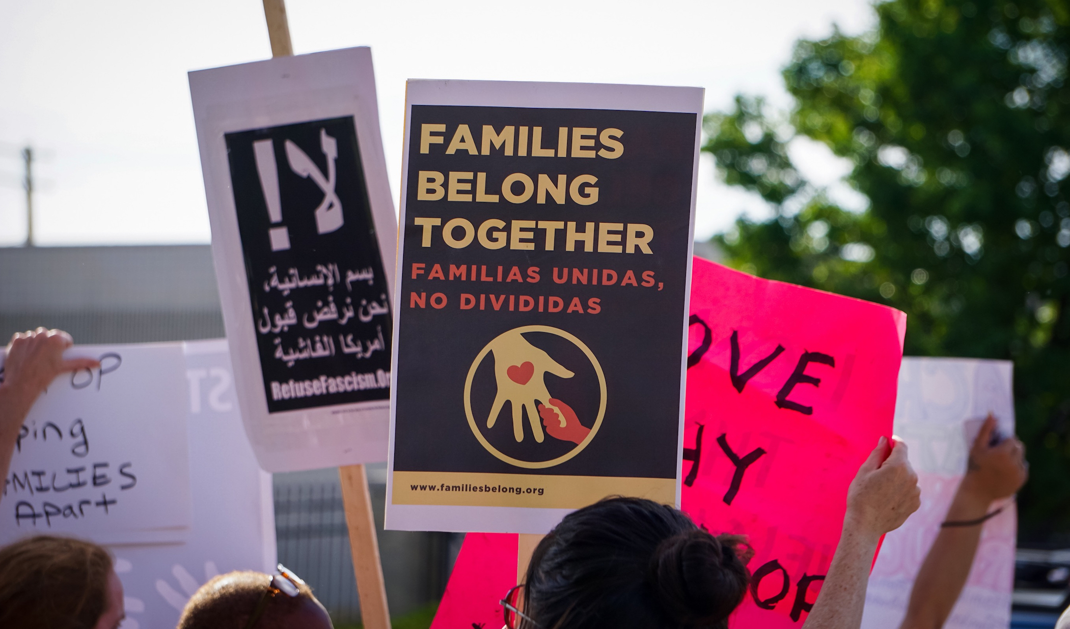 Dehumanizing and disliking others are separate brain processes