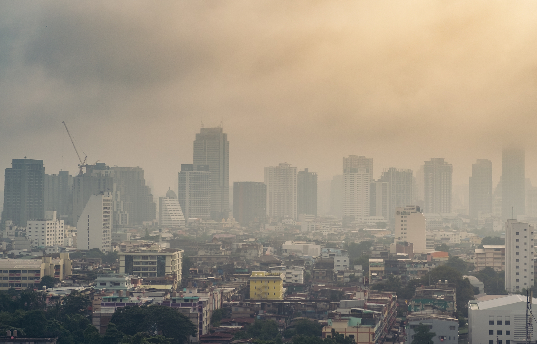 Emissions can be most efficiently reduced at the city level