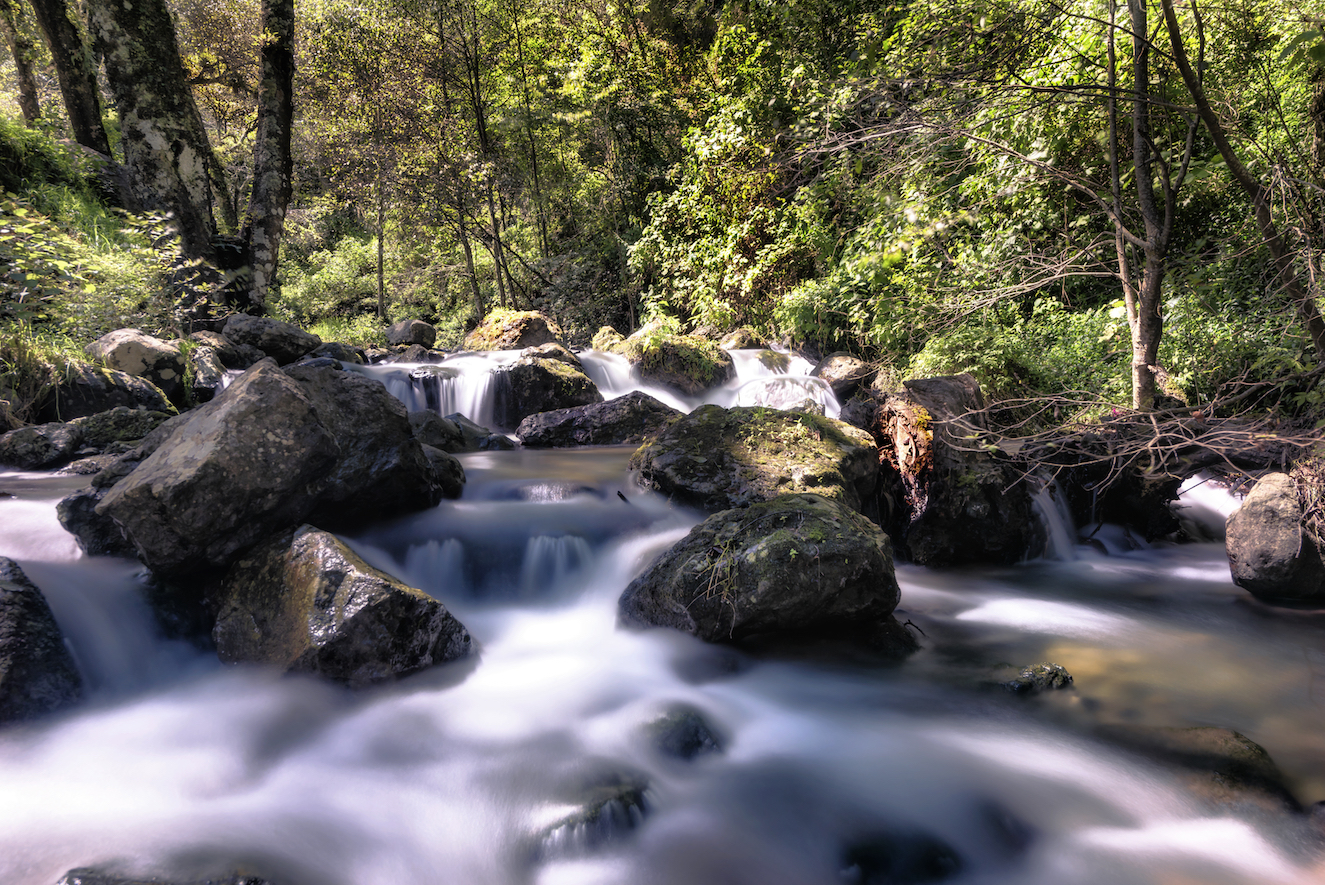 El Chico: One of the oldest protected areas in Mexico