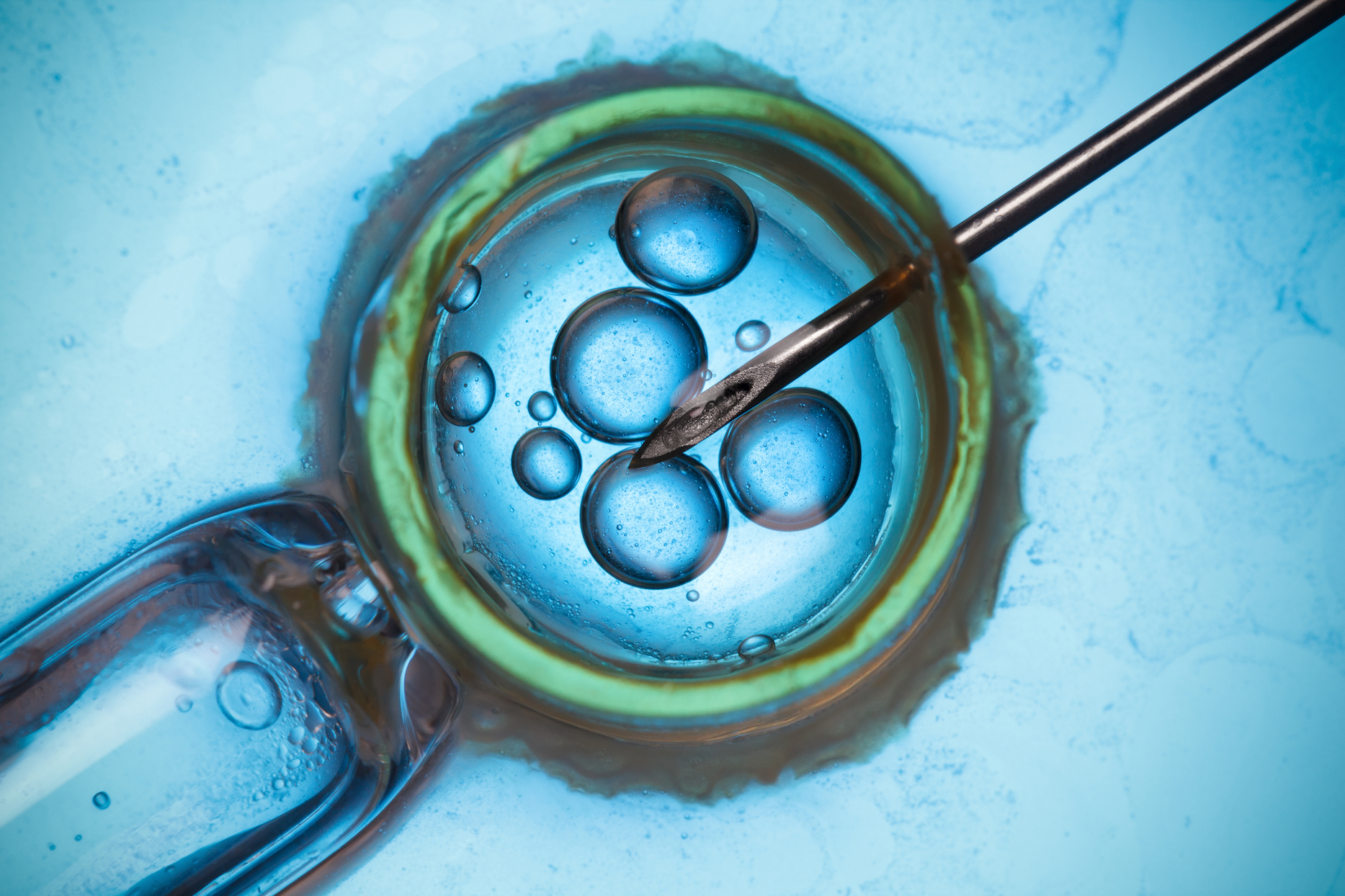 Over 8 million babies have been been from IVF since 1978