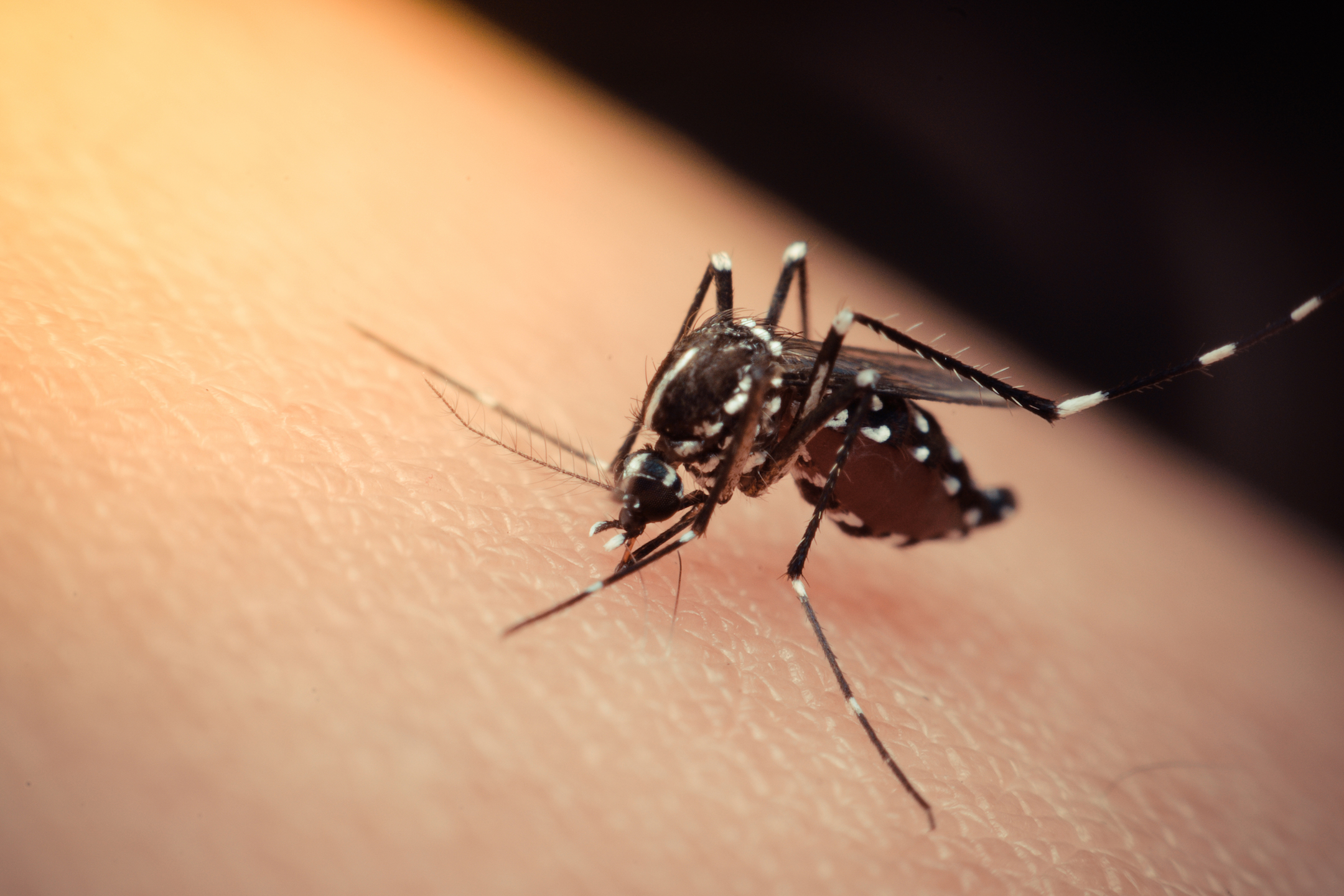 Study: Suppressing fear during a health crisis can make it worse