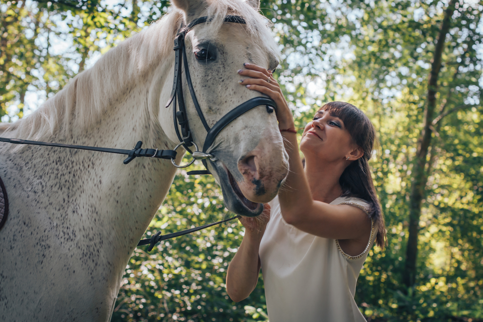 How to tell if a horse is happy? Listen to the snorts