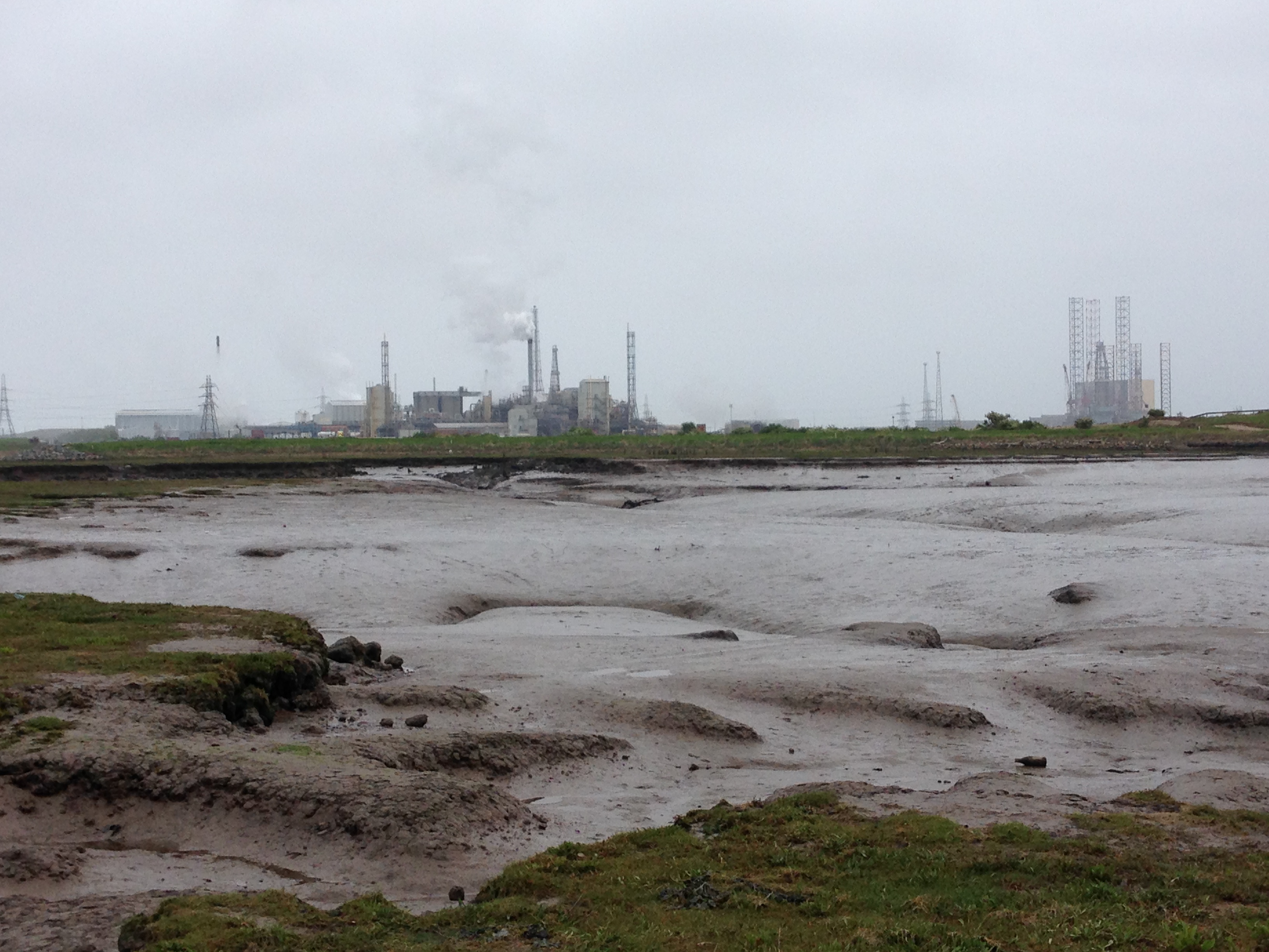 Rising sea levels could make UK salt marshes disappear