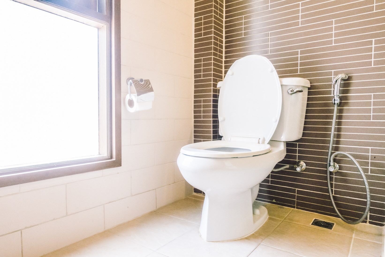 What happens when you don’t put the seat down before you flush