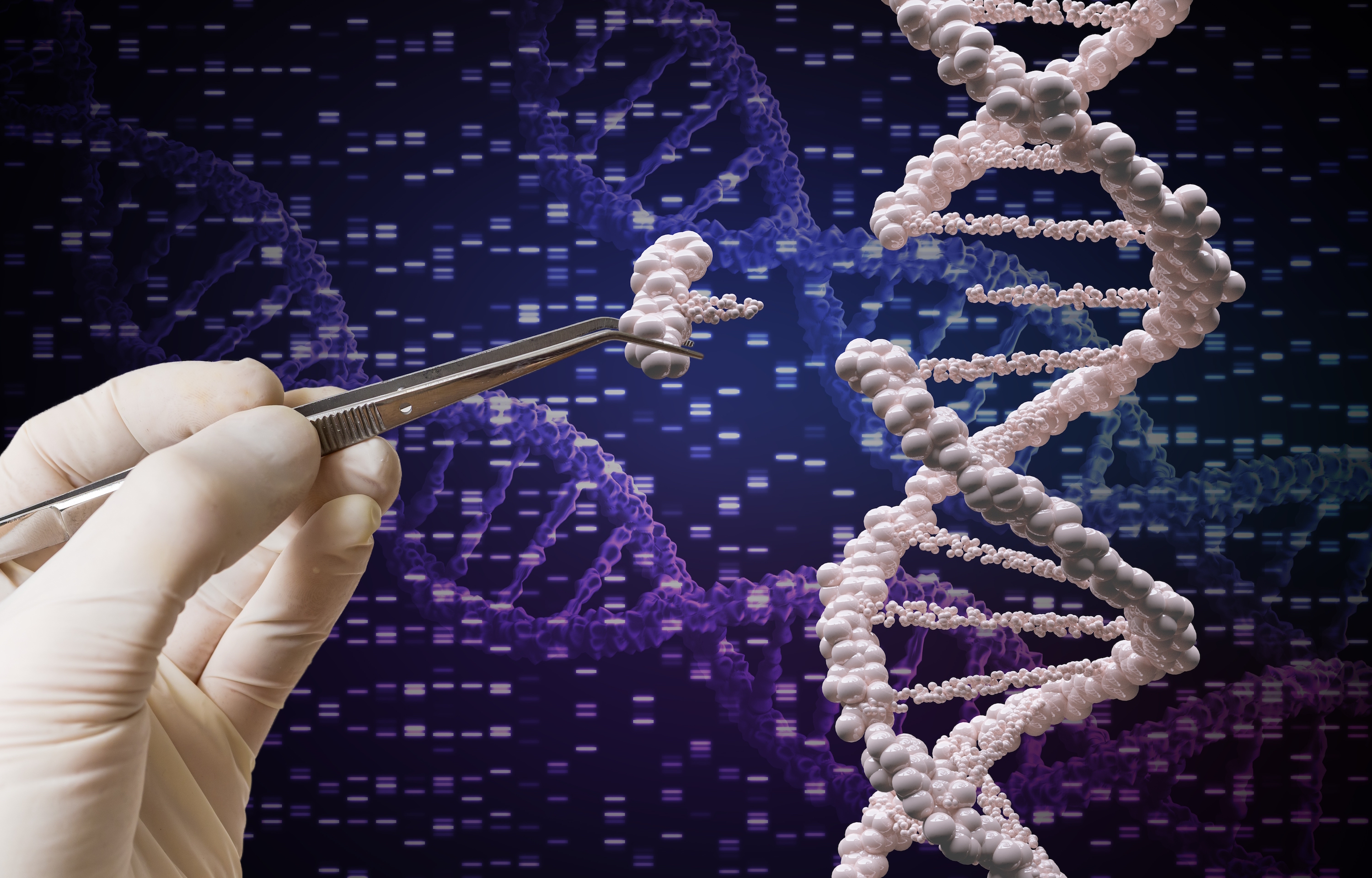 Scientists warn of the harmful effects of CRISPR gene editing