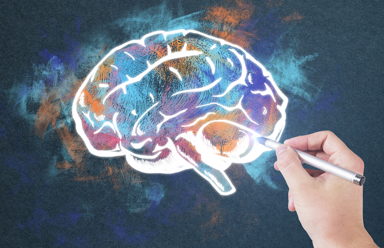 Why has the human brain gotten smaller over time?