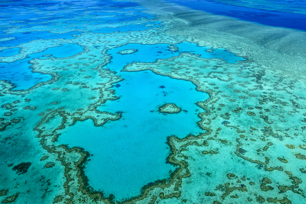 Australia is testing radical ways to save the Great Barrier Reef