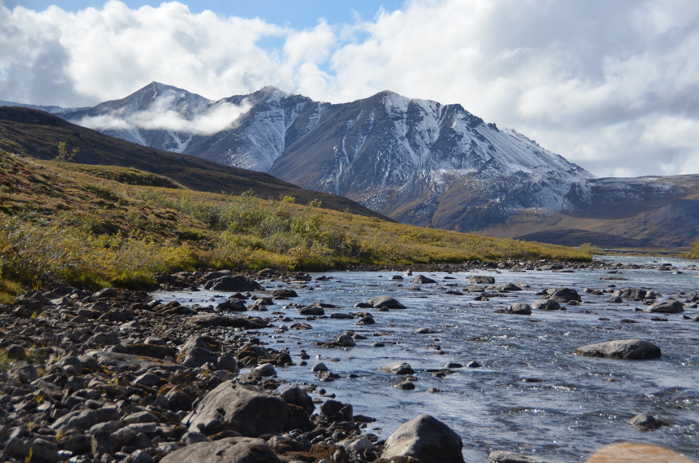 Trump admin looks to drill for oil in largest wildlife refuge
