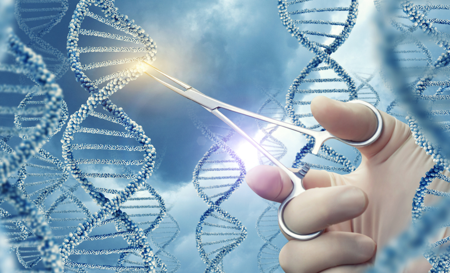 The public is open to gene editing… depending on its use