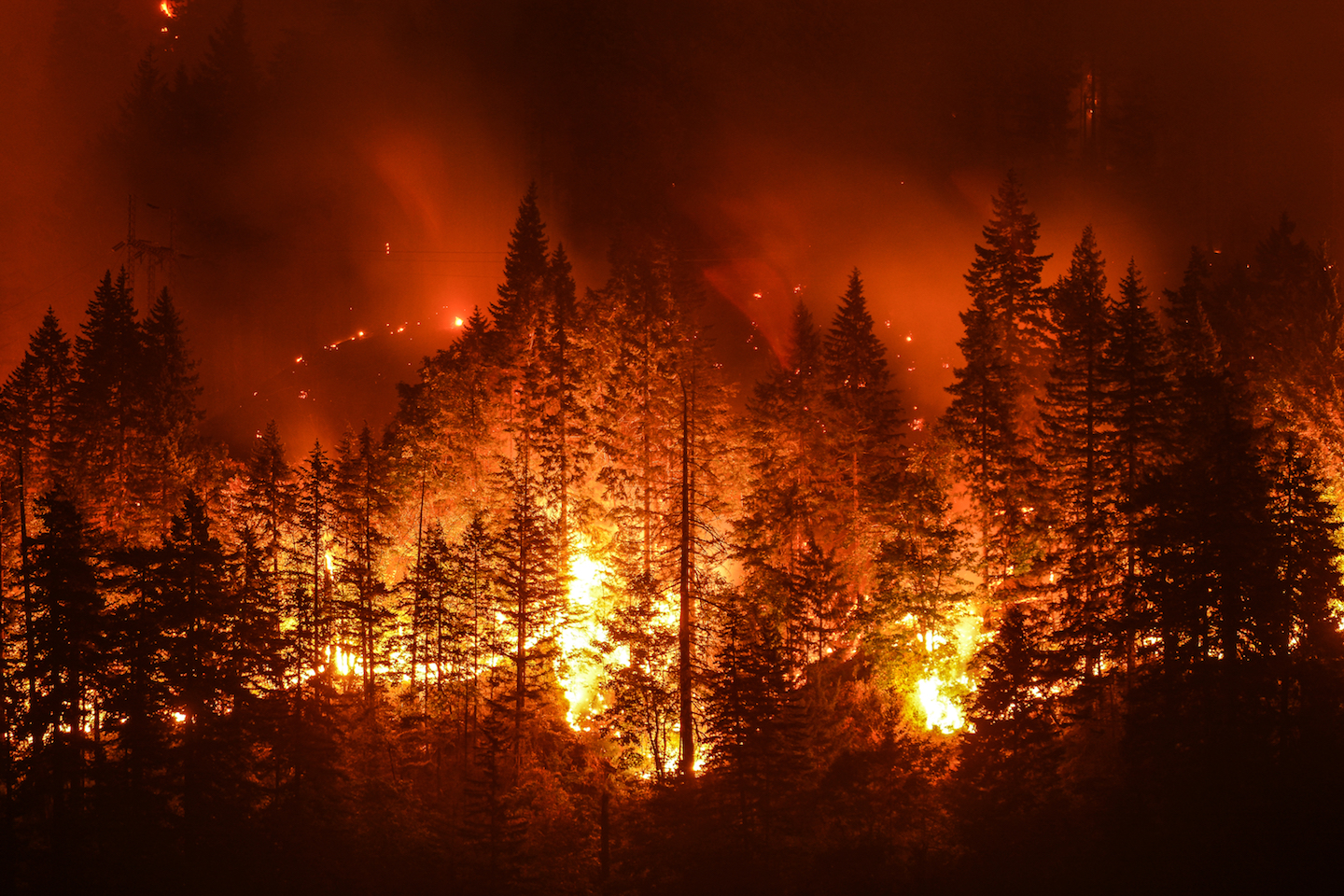 Local winds found to accelerate spread of massive wildfires