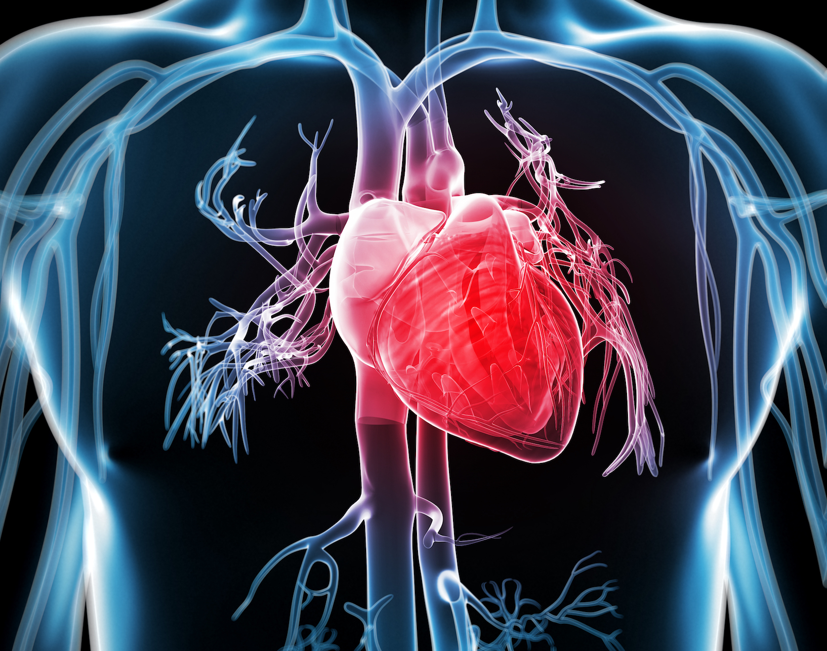Being overweight when you’re young increases heart disease risk