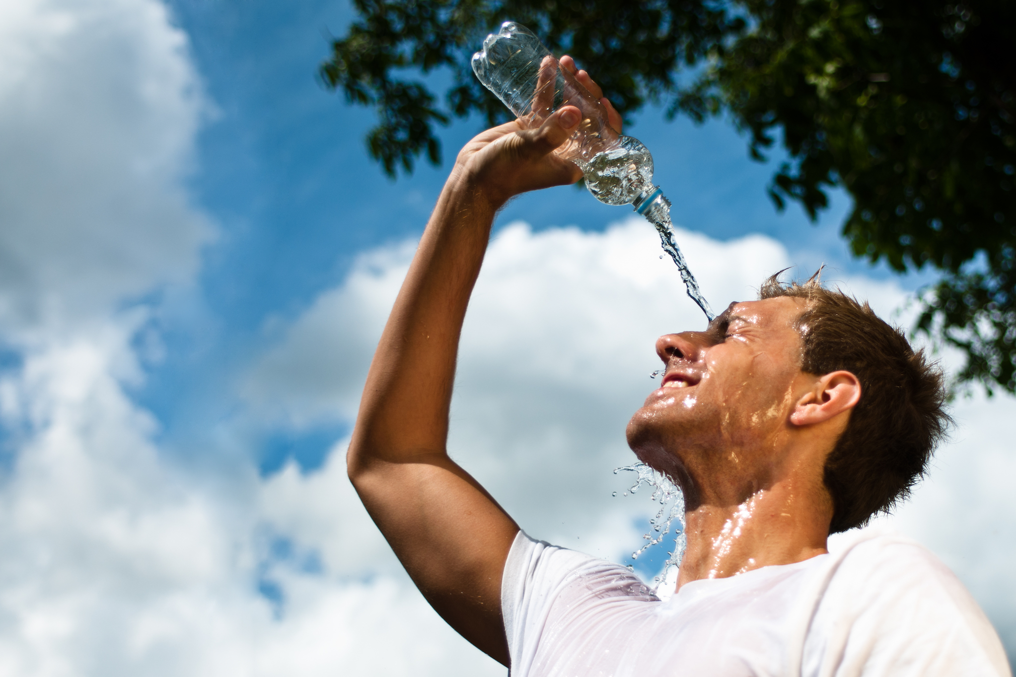 Scorching heat may become the norm by the end of the century