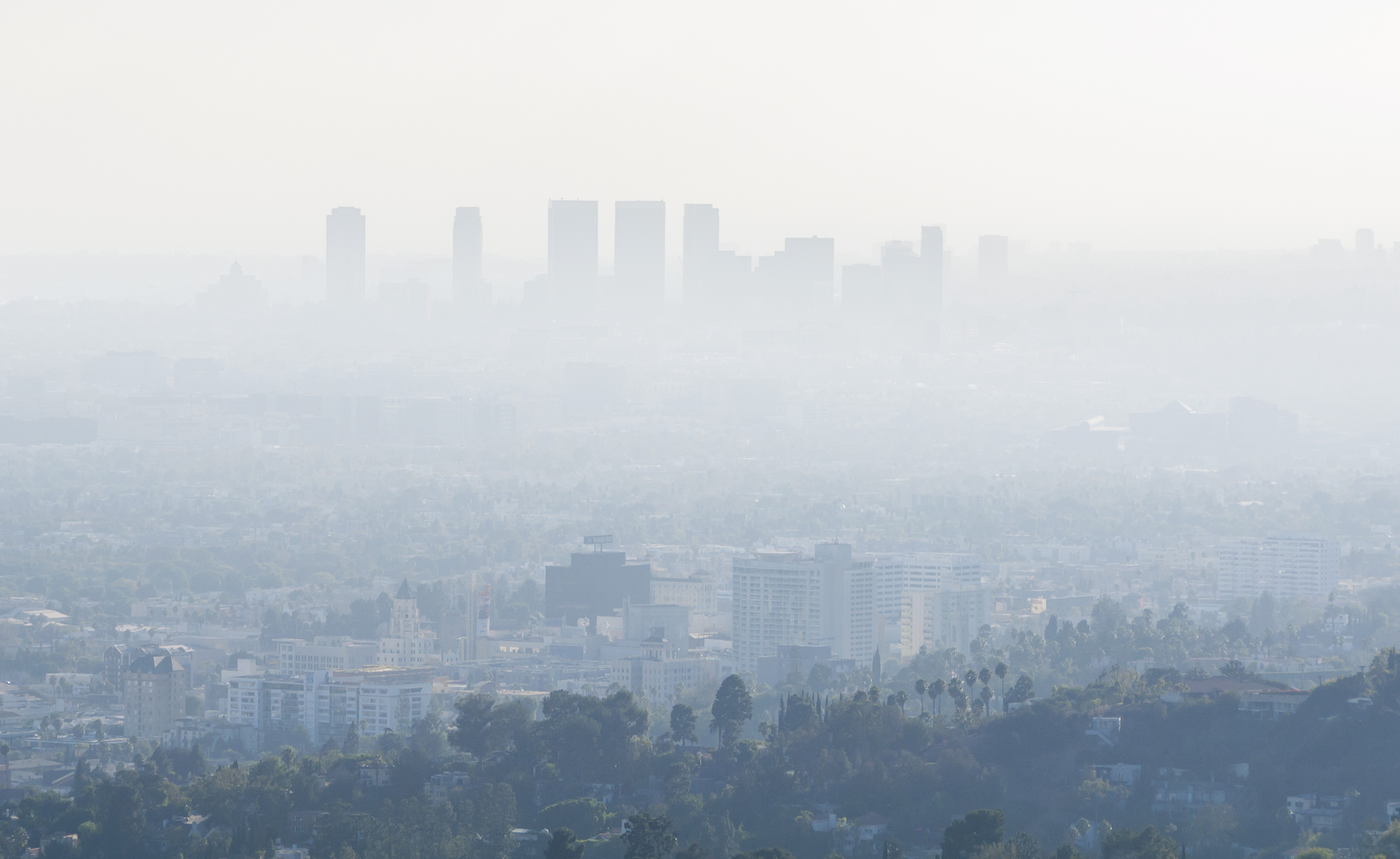 Air pollution causes major changes in the heart’s structure