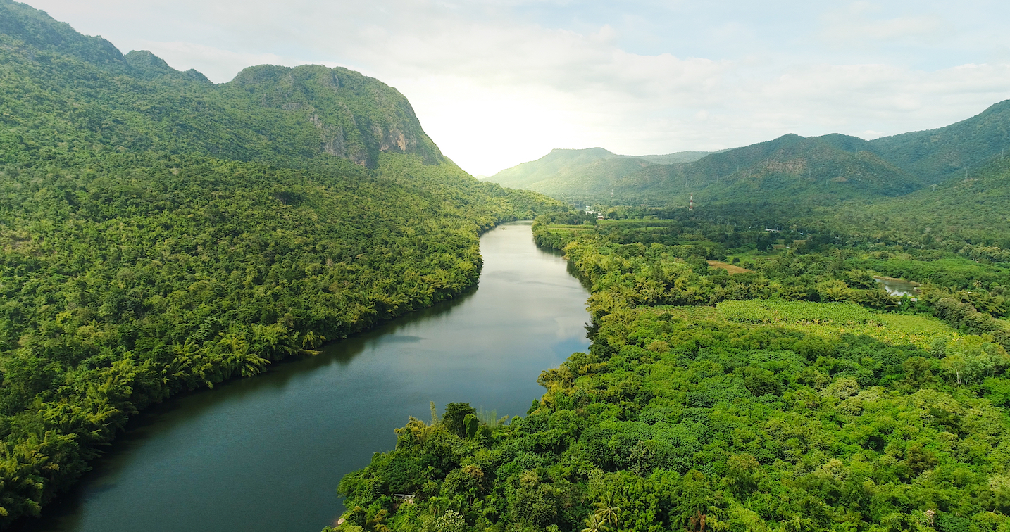 Replenishing forests will be crucial to combating global warming