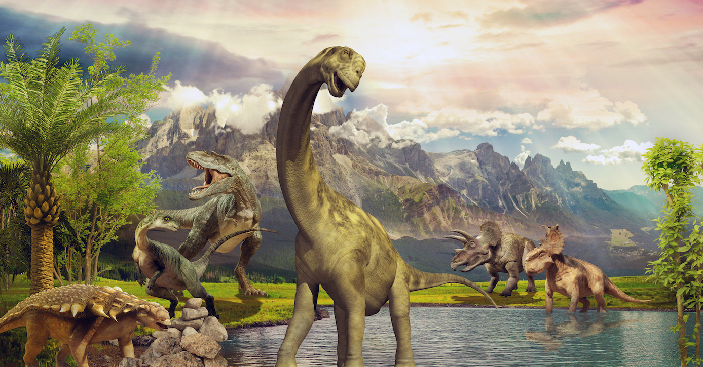 Study shows that dinosaurs enjoyed fragrant flowers just like us