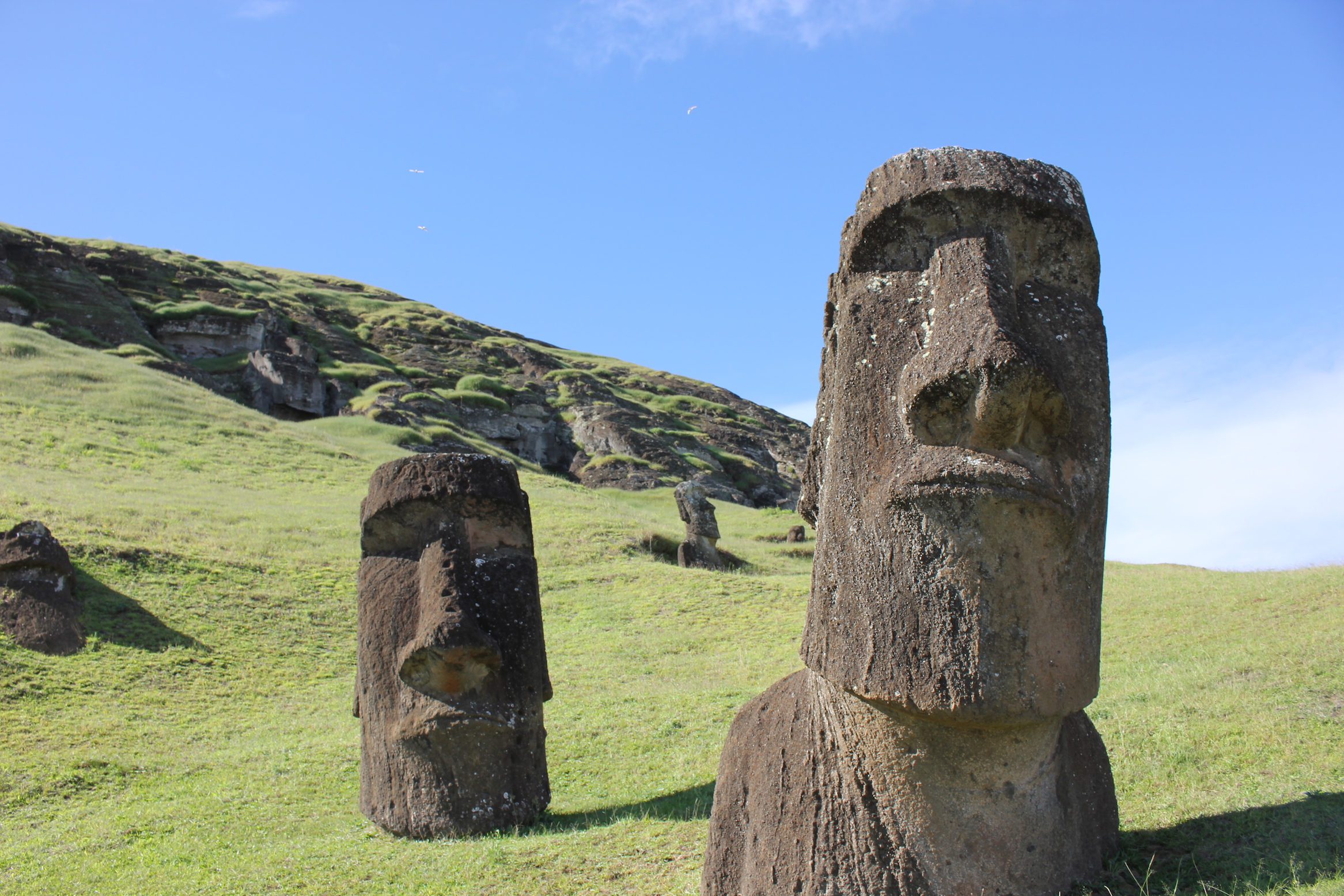 Ancient society of Easter Island may have been more sophisticated