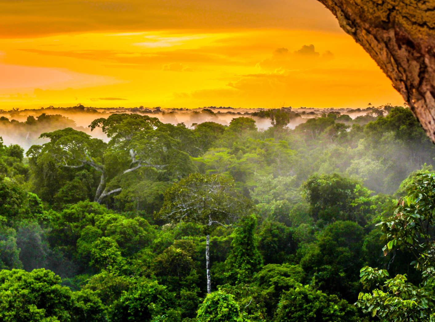 Tax havens linked to environmental degradation, study shows