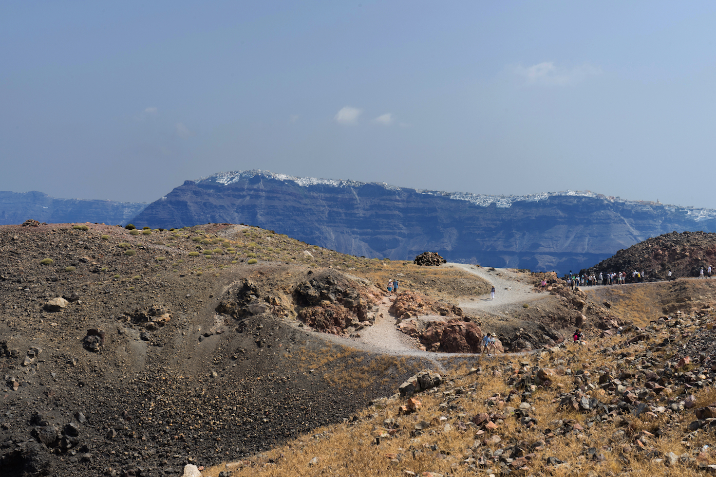 Olive branch reveals date of Mediterranean volcano eruption
